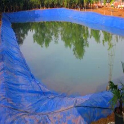 0.75mm Hdpe Geomembrane for Shrimp Pond in Paraguay Astm Standard 