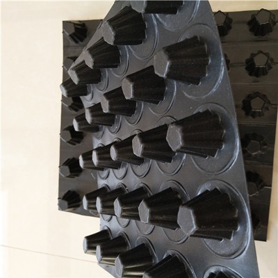 25mm HDPE plastic dimple  plate and drainage cell