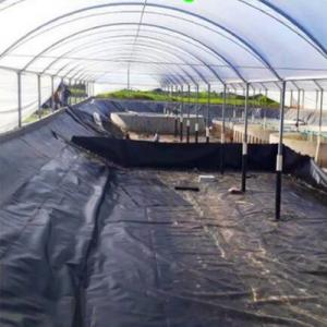 45 mil Pond Liner for Fish Ponds in Thailand  
