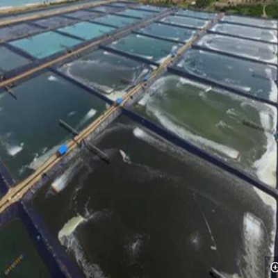 45 mil Pond Liner for Fish Ponds in Thailand  