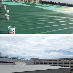 Acrylic Uv Resistance and High Elasticity Roof Coating 