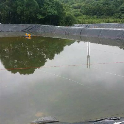 All Specifications Epdm Aquaculture Shrimp Pond liner Geomembrane Sheet