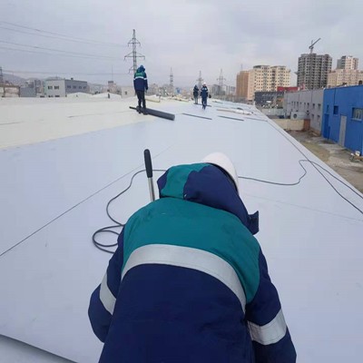 Best Quality Raw Materials Made Tpo Waterproofing Materials for Metal Roof