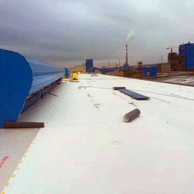 Best Weathering Resistant Light Reflective Tpo Waterproofing Roofing Roll Membrane