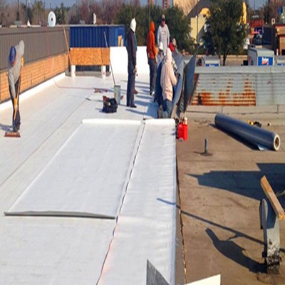 Best Weathering Resistant Light Reflective Tpo Waterproofing Roofing Roll Membrane