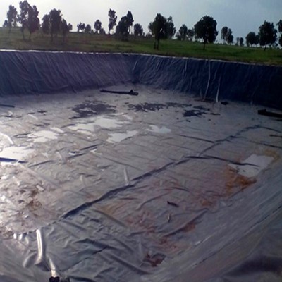 Big Pond Liners HDPE Geomembrane for Water Tank