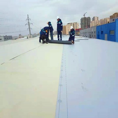 Flexible Customizable Pvc Roof Sheet Membrane Waterproof with CE Certificate 