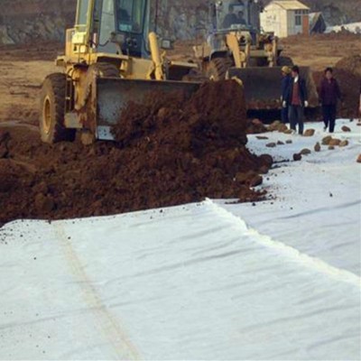 Geosynthetics Geotextile Liner for Road Project 