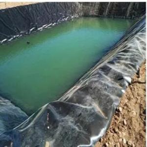  HDPE Geomembrane Liner for Dam in Vietnam
