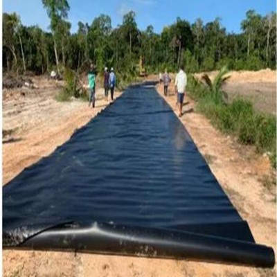 HDPE Geomembrane Sheet Liner with Cheap Price for Mining Project  