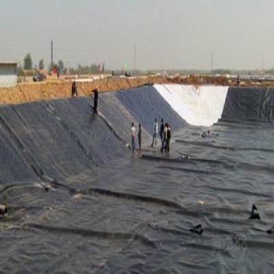 HDPE LDPE LLDPE Smooth Textured Composite Geomembrane for Landfill Project