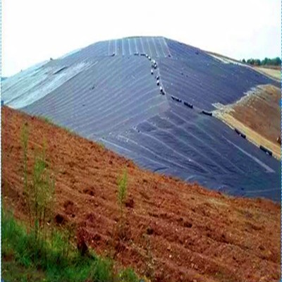 HDPE LDPE LLDPE Smooth Textured Composite Geomembrane for Landfill Project