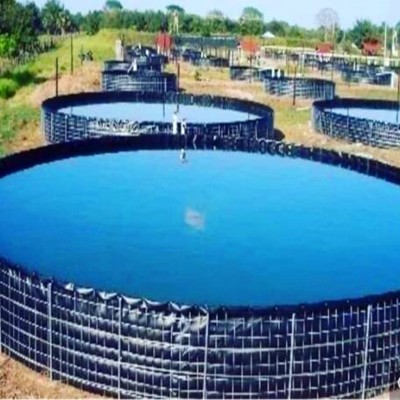 HDPE Smooth Geomembrane for Fish Farming Ponds 