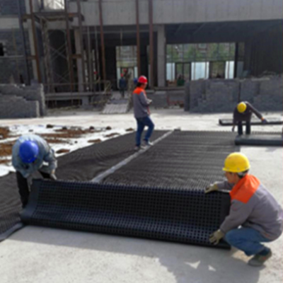 HDPE black and white drainage cell mat board for garden drainage