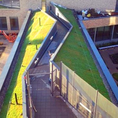 High Quality PVC Sheet Waterproof Membrane for Basement Roof Garden 