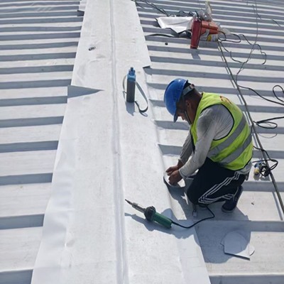 Hot Sale China Manufactured Tpo Singly Ply Roofing Sheet for Damp proof Waterproofing