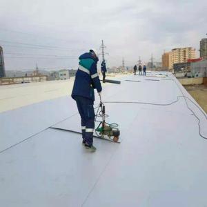 Hot Sale Flat Roof Waterproof TPO Membrane with ISO Certificate 