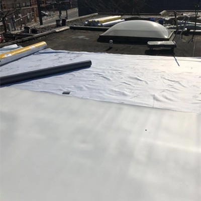 Hot Sale Flat Roof Waterproof TPO Membrane with ISO Certificate