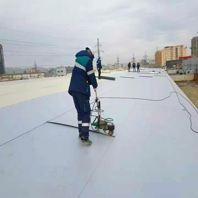 Hot Sale Roofing Materials TPO Waterproofing Membrane