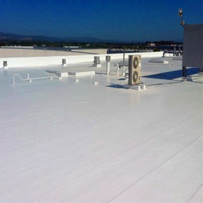 Hot Sales Anti Chemical  Performance Waterproof Roof Roll TPO Membrane