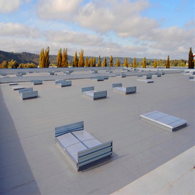 Hot Sales Anti Chemical  Performance Waterproof Roof Roll TPO Membrane