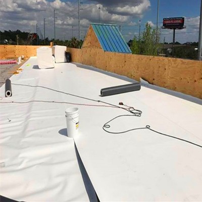 Hot Sales Perfect Bending Performance Waterproofing Roofing Roll TPO Membrane