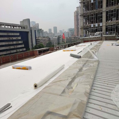 Hot Sales Perfect Bending Performance Waterproofing Roofing Roll TPO Membrane