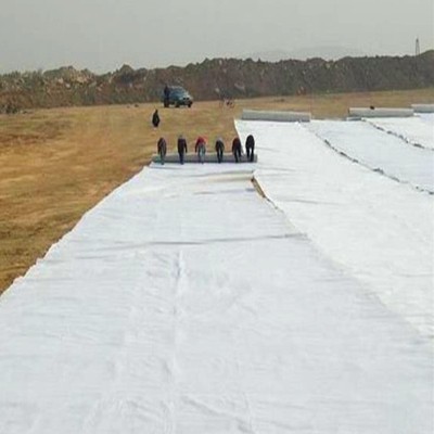 Nonwoven Needle Punched Geotextile for Drainage