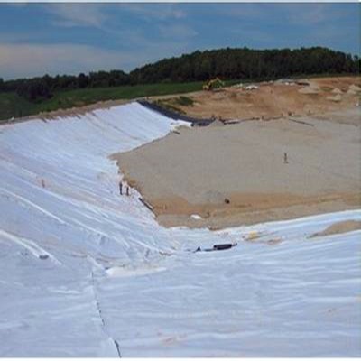 Nonwoven Needle Punched Geotextile for Drainage