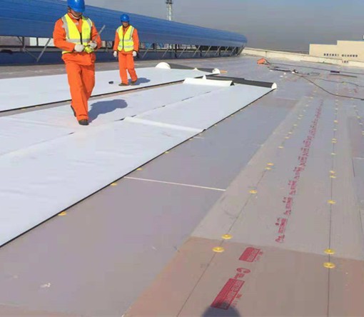 PVC membrane with fleece backing for metal roof renovating