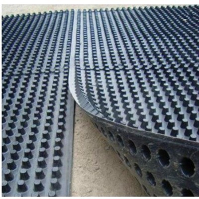 Plastic dimpled membrane for foundation wall