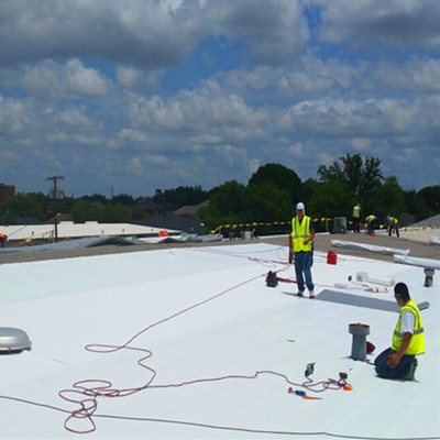 Reinforced 60mil TPO Waterproofing materials for damp proof