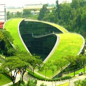 Root Puncture Resistant Factory PVC Roof Garden Waterproof Membrane