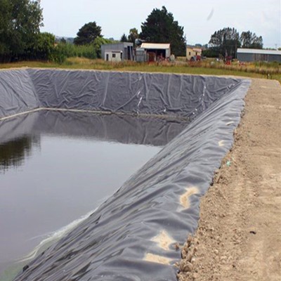 Smooth HDPE Geomembrane for Shrimp Farm Pond