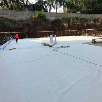 Top Quality Self Adhesive TPO roof waterproof membrane