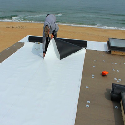 Tpo Waterproof Membrane for Bulid Roofing with FM Certificate