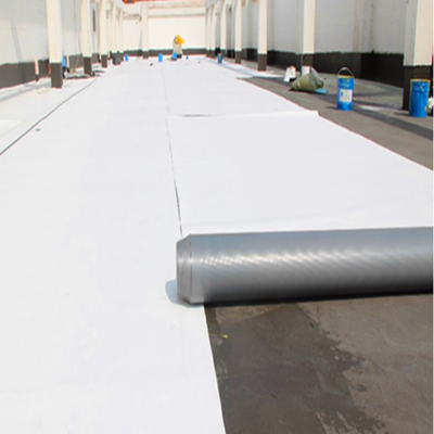 Tpo Waterproof Membrane for Bulid Roofing with FM Certificate